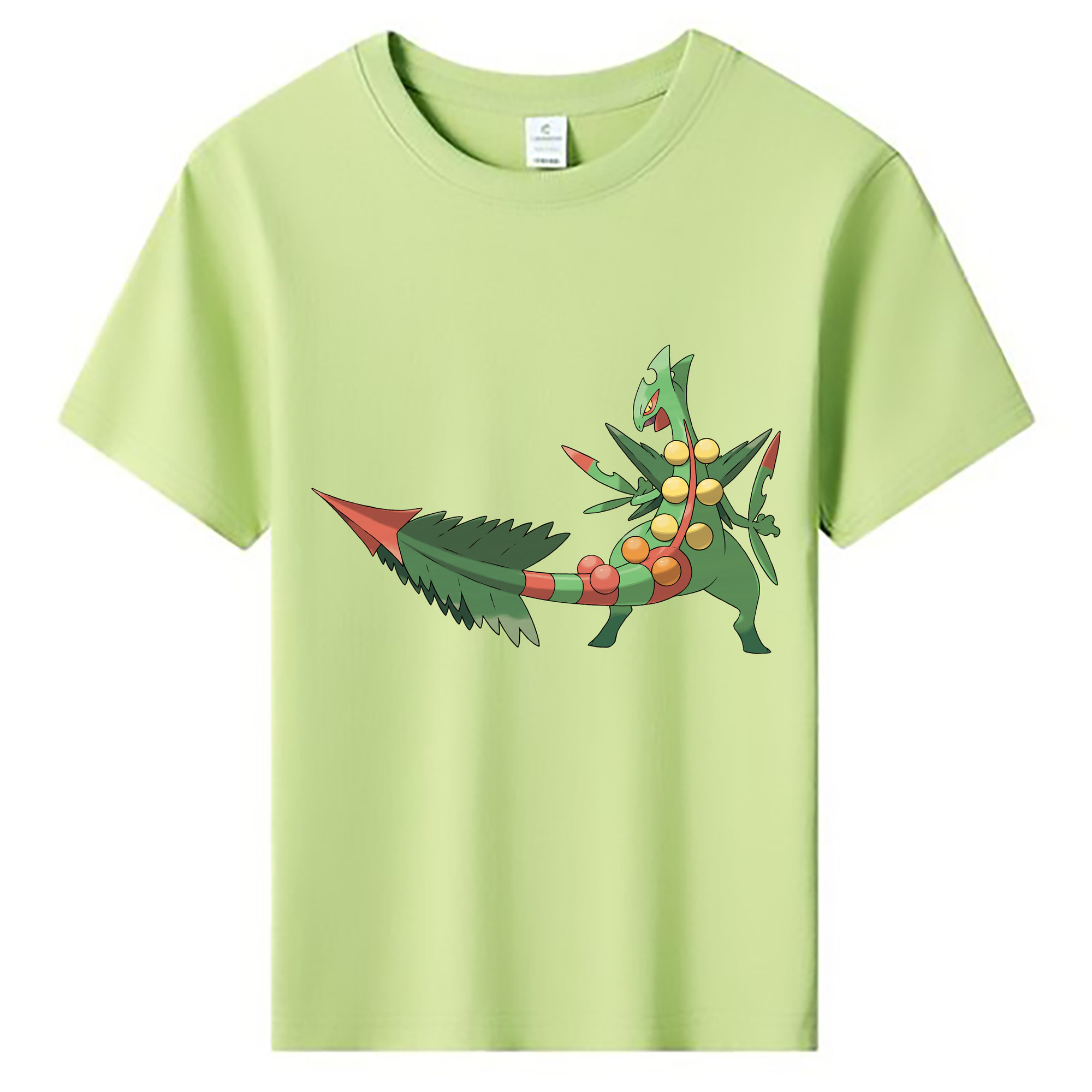 （画像用） ポケットモンスター Pokémon 綿100％キッズTシャツ（フロントプリント）